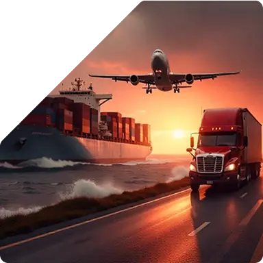 International Logistics & Freight Forwarding